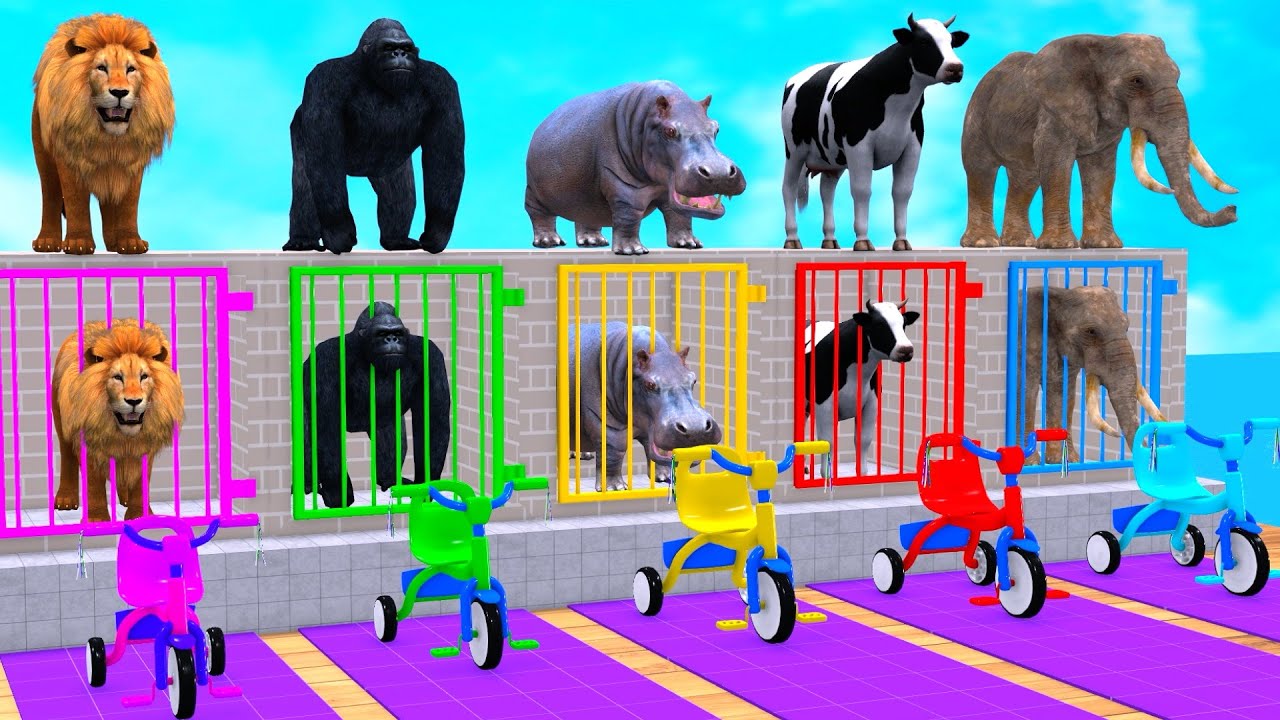 Long Slide Game With Cow Elephant Gorilla Hippopotamus Tiger - 3d Animal Game - Funny 3d Animals
