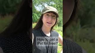 Free Pet