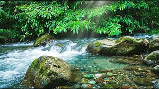 Relaxing River Breeze | No Talking No Music Deep Sleep Cozy Ember ASMR 🌿