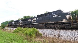NS 201 Double Stack Train Slowing, Stopping for Meet
