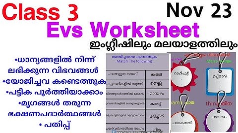 Class 3 Evs Victers Worksheet 23/11/21/class 3 victers worksheet Nov 23/Std 3 Environmental Studies