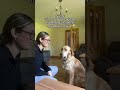Funny Dogs #Funny #Cute #Dogs #Trending #Funny Videos #For You