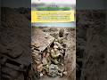 Revived World War2 photo: “Inside a WWI Trench – The Soldiers Who Never Gave Up” #worldwar2 #wwii