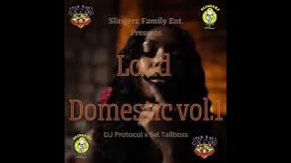 Slingerz Family Loud Domestic Vol.1 (R&B Mixtape) Dj Protocol & Selector Tallboss