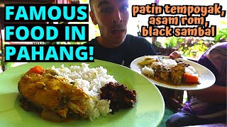 First time trying Patin Tempoyak, Asam Rong, \& Sambal Hitam! + cooking MALAYSIAN FOOD vlog in PAHANG