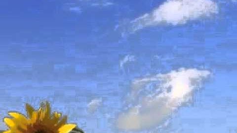 القارئ حسن أملال - قزابري أكادير- من سورة الاحزاب 21-50