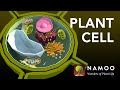 Biology with NAMOO: Plant Cell Structure