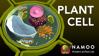 Biology with NAMOO: Plant Cell Structure