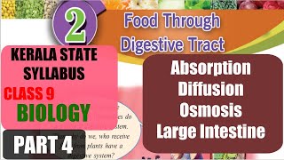 Part4 KERALA Syllabus CLASS 9 BIOLOGY CHAPTER 2- FOOD THROUGH DIGESTIVE TRACT