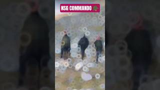 black commando army Training fouji  nsg commando ncc parade  #specialforces #viralvideo #shortvideo