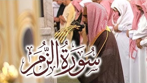 تلاوة بهيّة لـ سورة الزمر كاملة بصوت الشيخ أحمد بن طالب حميد