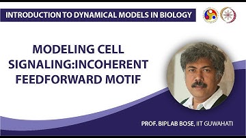 Modeling Cell Signaling:Incoherent Feedforward Motif