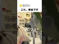 このインコ、なんでこんなに鳥肌立つんだろう