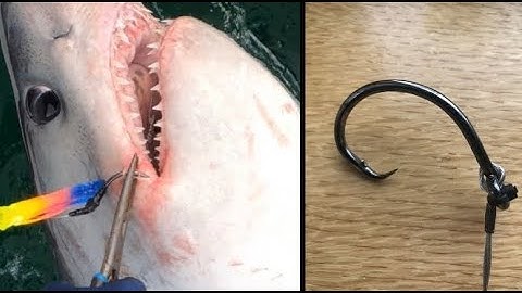 Circle Hook /Wire trace Hack 🦈