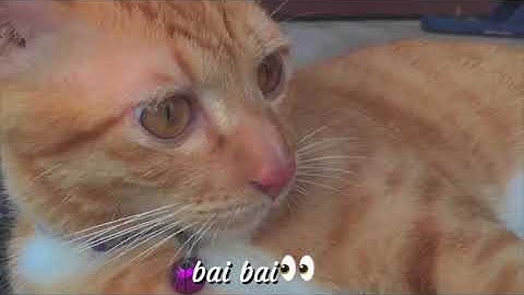 #3 Tổng hợp những vlog cực chill #chill #tiktok #daily vlog