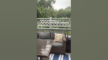 This is a safe place. #youtubeshorts #viralvideo #safe #vent