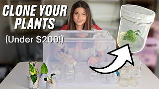 DIY Tissue Culture: How to Get Started for Less Than $200
