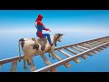 Spiderman Rides Cow Parkour Challenge | Homem-aranha Montando Vaca | GTA 5 Mods