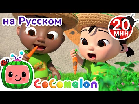 Собираем Овощи | Сборник 1 Час | CoComelon на русском — Детские песенки