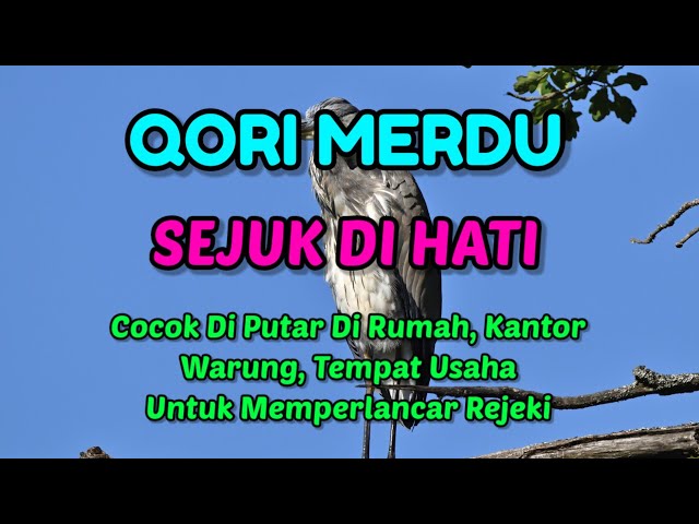 Qori Merdu Jaman Dulu 💞 Qori Legendaris Qori Jadul Sering Di Putar Di Masjid 💞 Qori Paling Di Cari 💞 class=