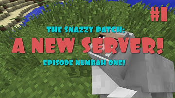 A NEW SERVER! - On The Snazzy Patch Server! - Episode One!