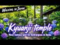 Kyuanji Temple (Hydrangea Temple), Ikeda Osaka Japan 🌸 大阪池田・久安寺散策