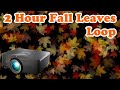 🍂 2 Hour Fall Leaves Projection HD - Autumn Decoration