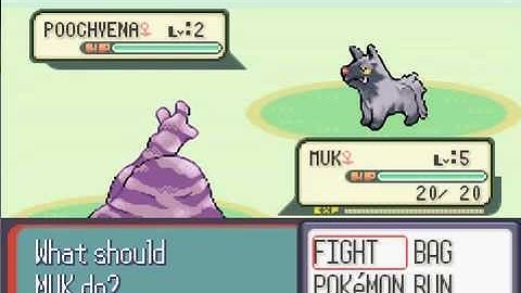 Pokemon Ruby Fully Random! Episode 1