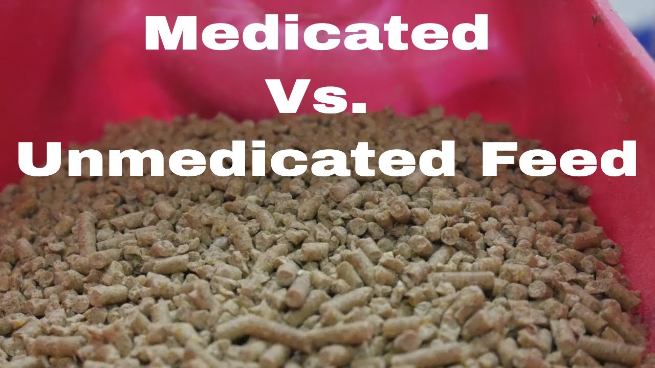 Medicated vs Unmedicated Feed