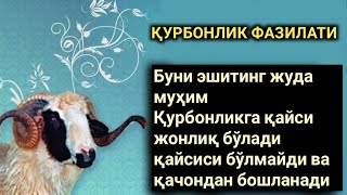 Қурбонлик фазилати.