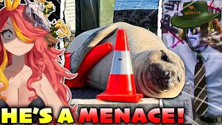 These Animals Are TERRORS To Society! | Vtuber Reacts to MoreParz