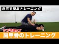 【肩のケガ防止に！！】MLBのヘッドストレングスコーチが教えるメジャー式 　自宅で簡単トレーニング！Part②