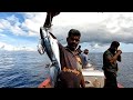 Catching Plenty of Bonitos in the Sea