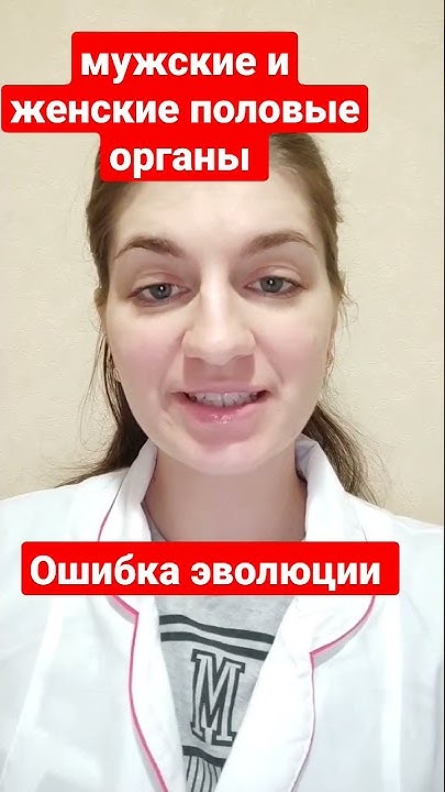 Evolution ошибка. Evolution ошибка