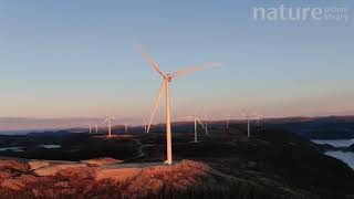 Wind turbines turning in one of the largest wind parks in Europe, Trondelag Norway