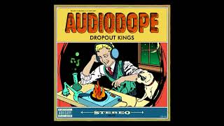 Dropout Kings - 503