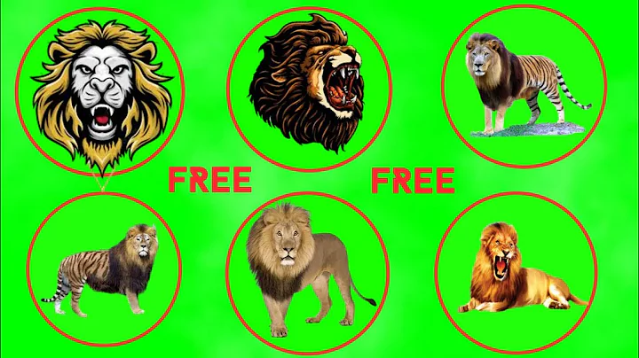 Male lion | Lion Green Screen(Download link)Chroma Key |Tech Green Screen