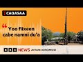 Mukni Gogaa Qe Ee Koonsoo Keessa Dhaabatu Maal Hima BBC News Afaan Oromoo Mukni Gogaa Qe Ee Koonsoo Keessa Dhaabatu Maal Hima BBC News Afaan Oromoo