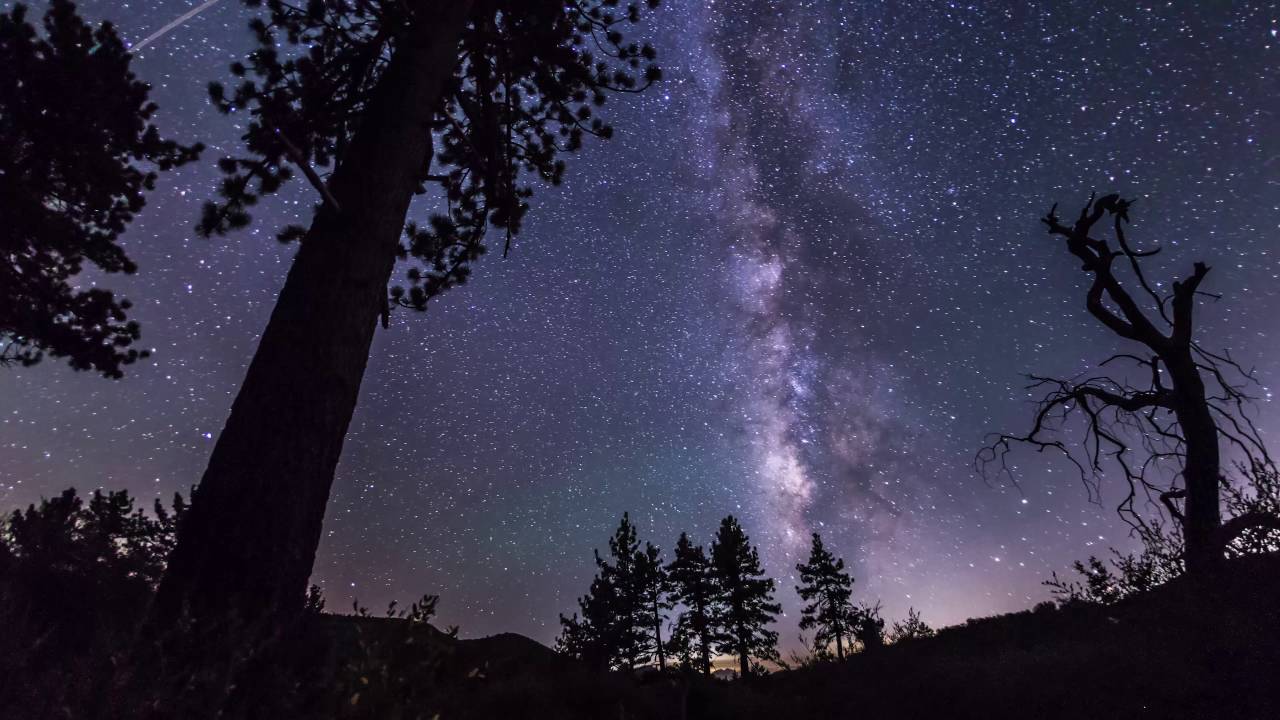 The Milky Way passes behind some trees near Pine Creek Road in Noble Canyon on August 5-6, 2016 - YouTube