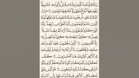 سوره البقره من آية ٢٥الى ٢٩ مكرر ١٠ مرات
