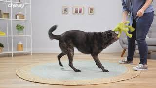 Hill's Science Diet Puppy Large Breed Chicken Meal & Oat Recipe | PuppySimply