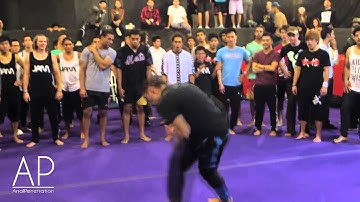 Matt Emig Loyal Sampler