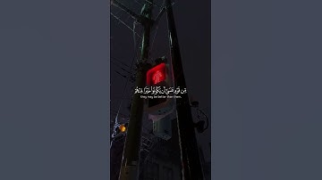 إنما المؤمنين إخوة #تلاوة_خاشعة #تلاوة_مميزة #تلاوة_هادئة #قرآن #قران_كريم #تلاوات #تلاوة #آية