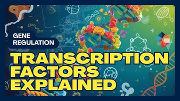 Transcription Factors | Role in Gene Expression Explained Simply
