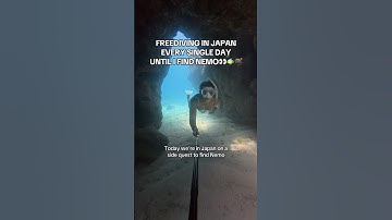 Finding Nemo… the real life version 😁👀🐠 Let’s see what else we can find!