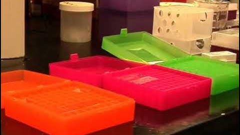 Fluorescence Microscopy for Single-Molecular DNA Replication Visualisation