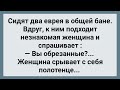 Два Еврея и Ненасытная Женщина в Общей Бане! Сборник Свежих Анекдотов! Юмор!