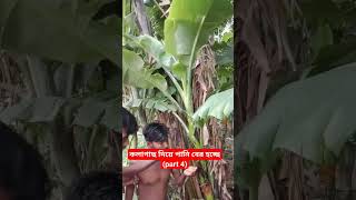 এটা কি আল্লাহর নিয়ামত না গজব  shorts youtubeshorts