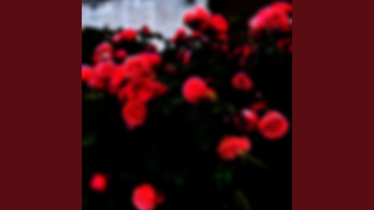 Watch Careful on YouTube Watch Careful on YouTube