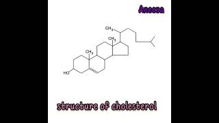 The Surprising Structure of Cholesterol